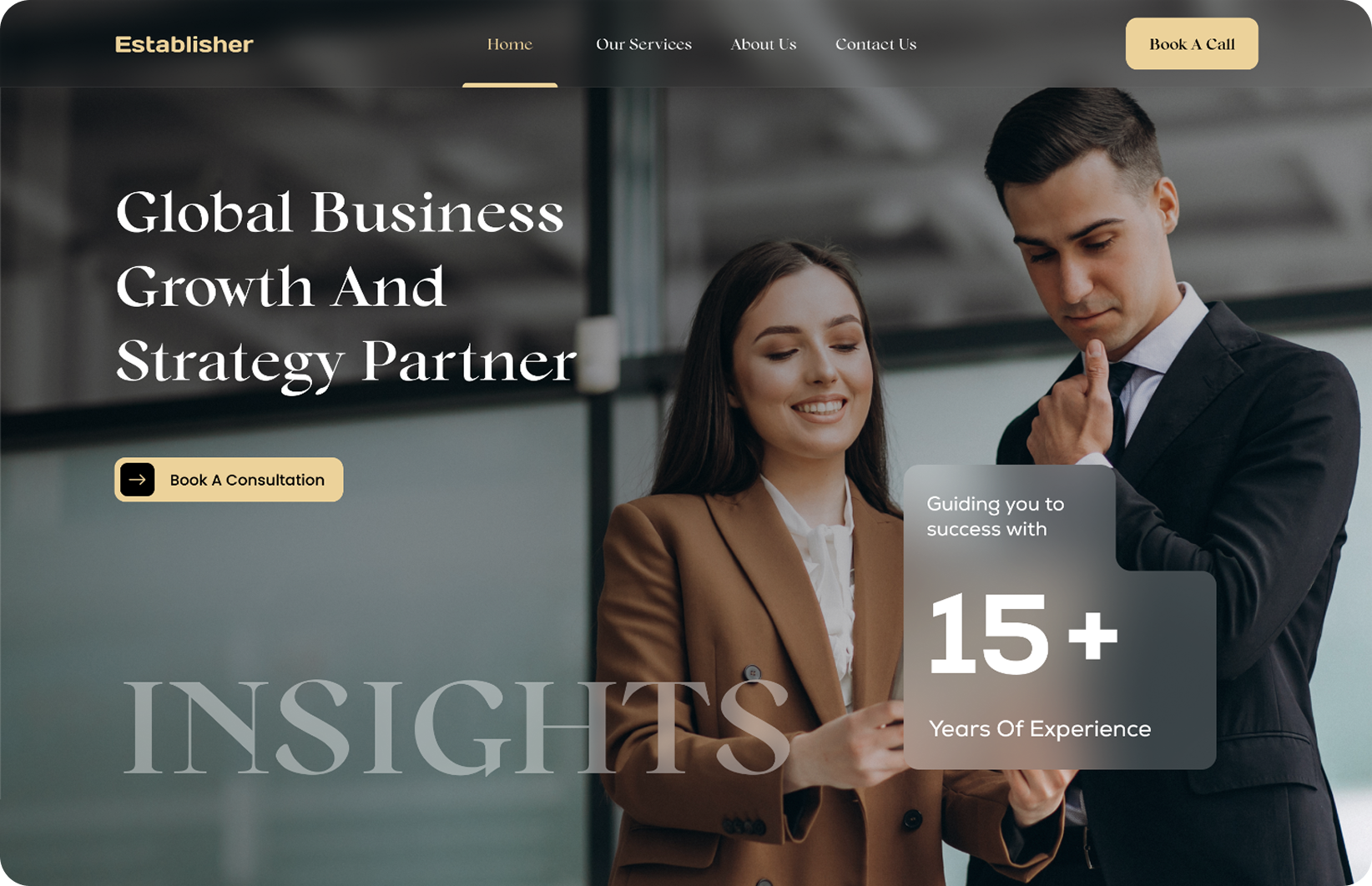 Establisher Website project preview